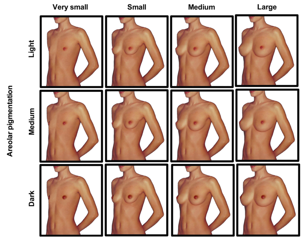 Different forms of naked female breasts