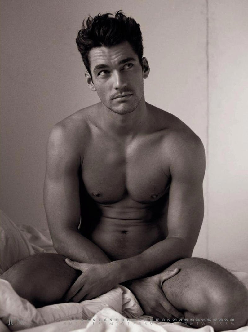 Felix Lefevr Torsos