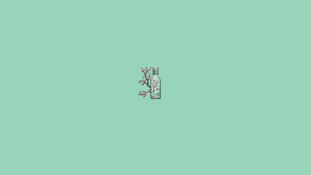 Drawing gearbox Gazelle 3302