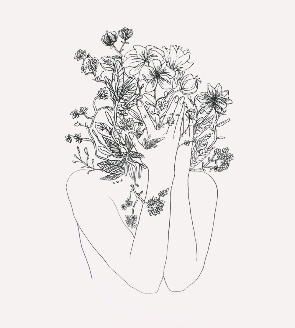 Tender contour sketches
