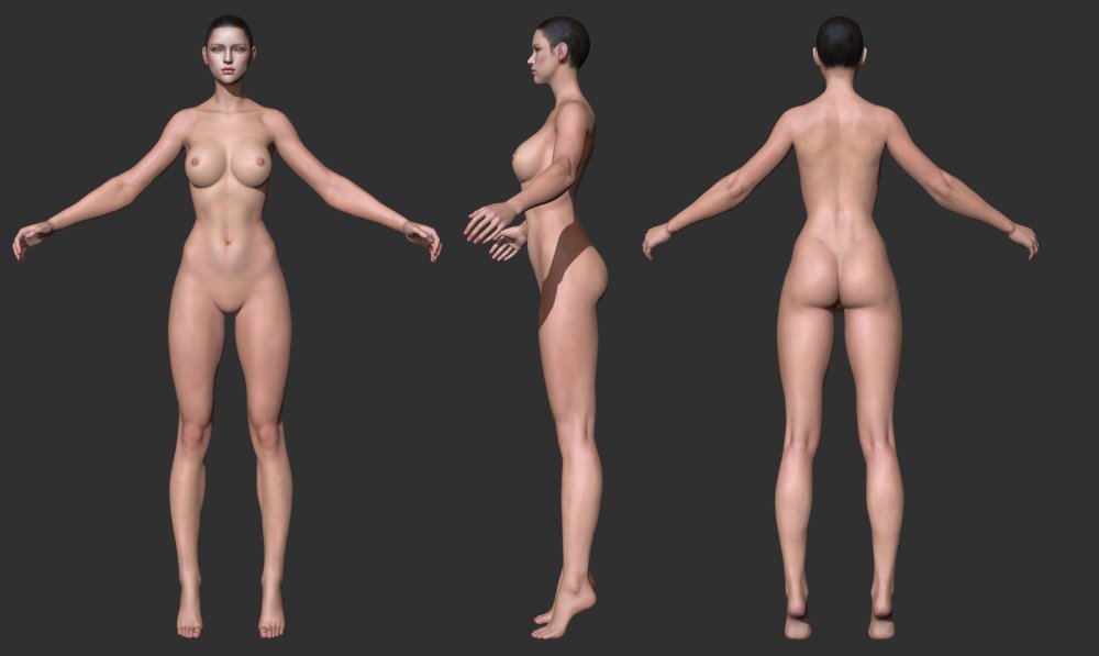 Human anatomy naked