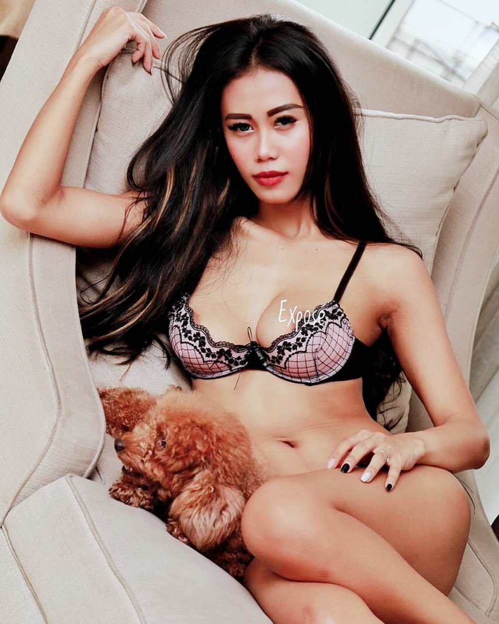 Model Gress