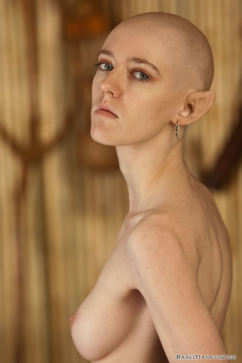 Nude Girls With Semi Bald Head From Twitter