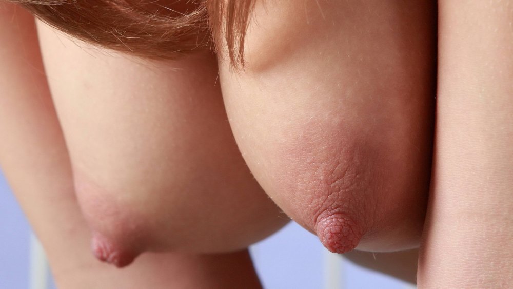 Little tits close -up