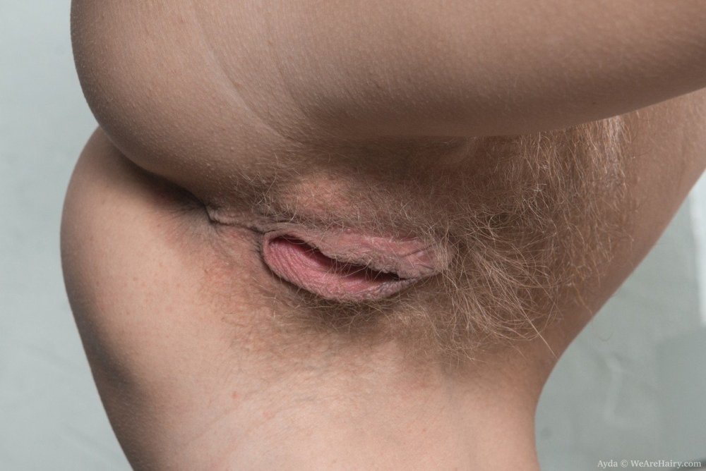 Curly crotch