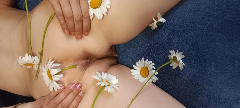 Chamomile flowers