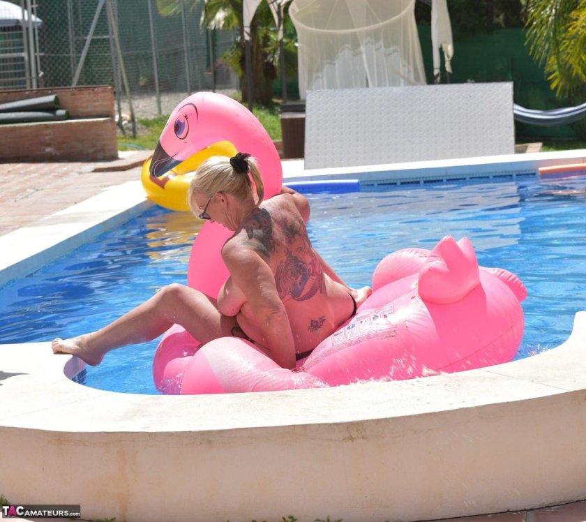 Pink flamingo